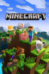 Banner for the video game minecraft